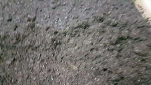 ГВОЗДИКА. как посеять гвоздику травянку на рассаду. посев гвоздики семенами