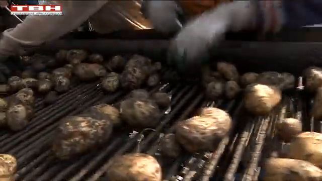 Итоги 2020 смотреть онлайн