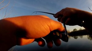 ВЕСЕННИЙ СУДАК И ОГРОМНЫЕ КАРПЫ-МОНСТРЫ/Ловля судака весной на джиг сберега.Судак на спиннинг весно