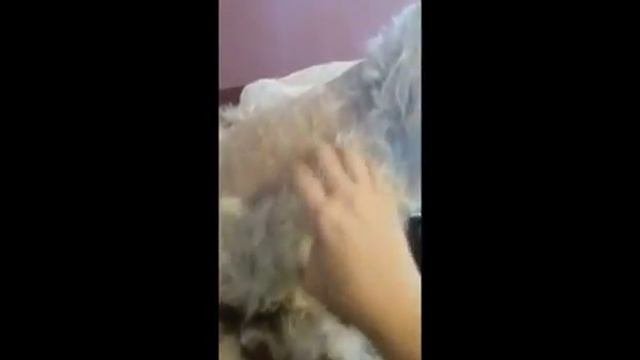 Видео отзывы о машинке для стрижки собак AOBO VS888