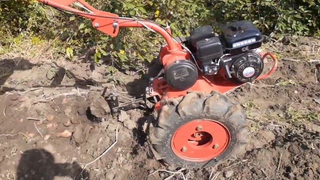 Уборка картофеля 2023 Испытываю новую картофелекапалку