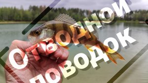 Отводной поводок / рабочая проводка