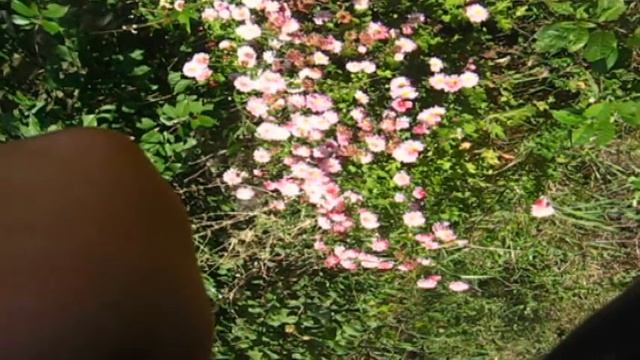 САМВЕЛА В ТЕАТРЕ НАРЯДИЛИ КАК НАДО. МУЖИКА В МАРШРУТКЕ НЕ БЫЛО смотреть онлайн