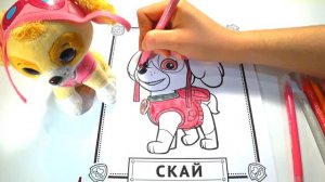 РАСКРАСКИ! РАСКРАШИВАЕМ КАРТИНКИ ИЗ МУЛЬТФИЛЬМА ЩЕНЯЧИЙ ПАТРУЛЬ СКАЙ