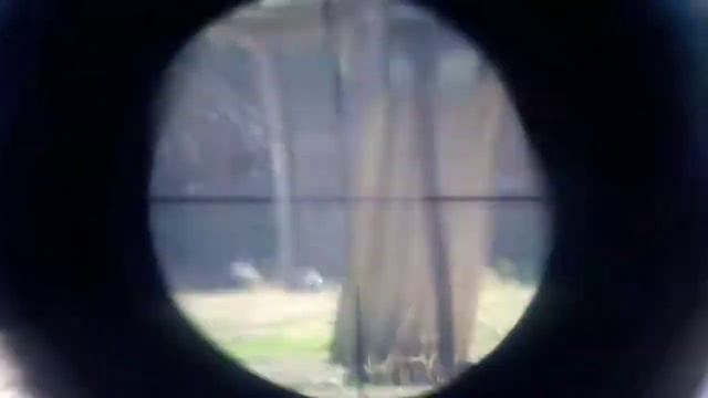 Стрельба с мелкашки смотреть онлайн