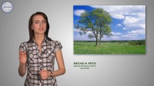 13  Биология 6кл  Рост и развитие растений