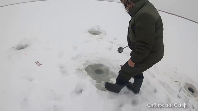 Рыбалка. Отжаренное САЛО с КАРТОШКОЙ смотреть онлайн