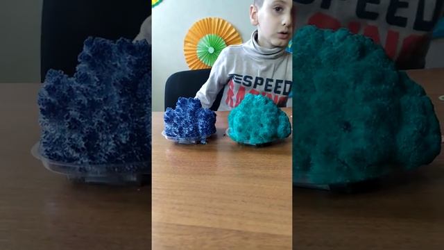 Селим выращивает кораллы часть вторая смотреть онлайн