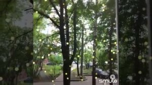 свет в твоем окне