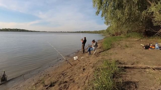 Судак на подпуск рыбалка на робин рэд рыбалка 2020 смотреть онлайн