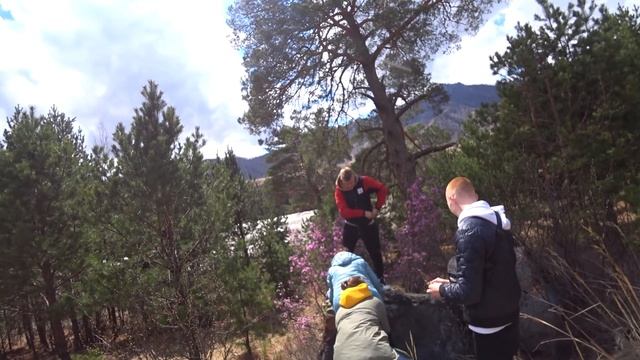 Алтай 2021 | Цветение маральника на Алтае | Ороктойский мост | 28 смотреть онлайн