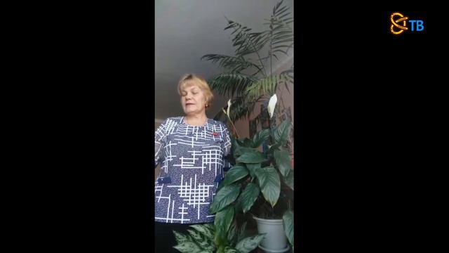 Вечер встречи школьных друзей 2021 смотреть онлайн