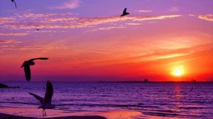 Алексей Дунаев-Мелодия(Cover Муслим Магомаев)