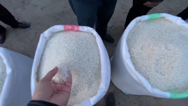 ХОРАЗМ ХАЗАРАСП ОПТОМ ГУРУЧ ЯНГИ НАРХЛАРИ КАНДАЙ БУ́ЛЙАПТИ 25 ноября 2023 г.