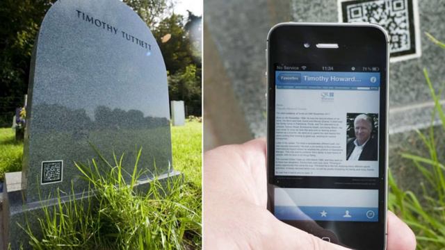 Human Vs Kangaroo Boxing Competition Who Will Win? || Human vs Kangaroo बॉक्सिंग मुकाबला कोन जीतेगा смотреть онлайн