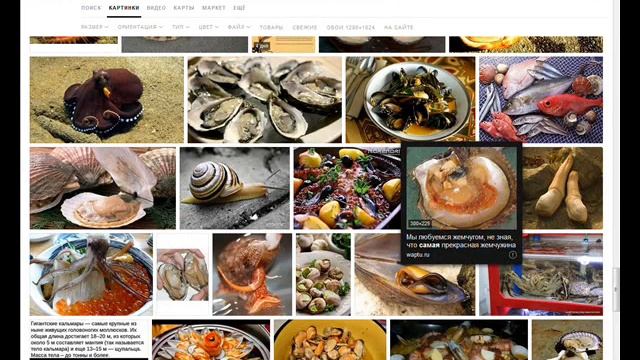 Самый вкусный моллюск  Чилийские пирожки  Эмпанадос