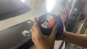 Обзор динамиков компании DL Audio серии piranha 165