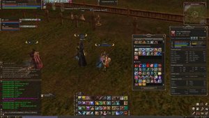 Lineage 2 тестирую навык  Двойной класс - Свет Благословения