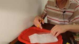 Микрозелень Редис китайский розовый- открываем новые вкусы