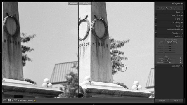 Adobe Lightroom Film Grain vs Real Film Grain from Kodak TMax100 смотреть онлайн