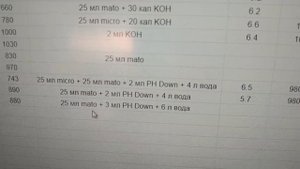 Перцы на гидропонике: подрезать или нет?