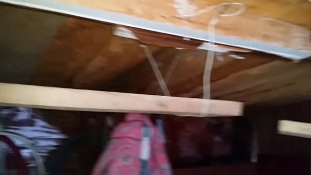 как зимует кот на даче смотреть онлайн