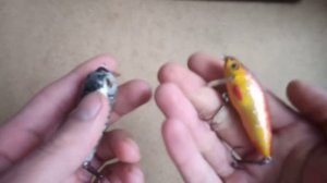 Taifun-0 лучший кренк  Серебряного ручья