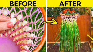 How To Grow Your Own Fresh Food at Home 🌱🏡 Genius Gardening Hacks!