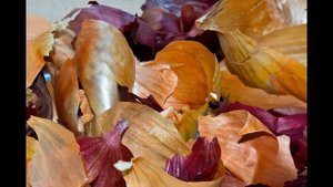 Проволочник в картошке и моркови.Как избавится от проволочника.