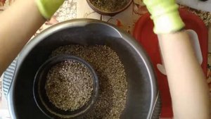 ?ВНИМАНИЕ КОЛЮЧКИ!? Пересадка кактуса.