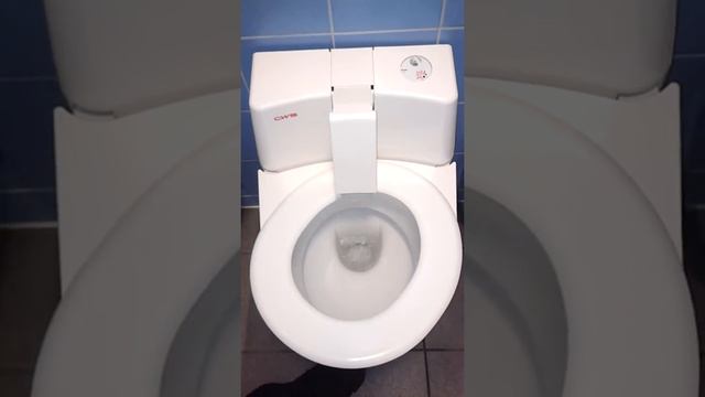 Туалет в придорожном кафе в Австрии