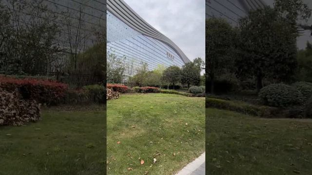 ? LIVE from NEW CENTURY GLOBAL CENTER Chengdu - Gedung Terbesar di Dunia - Part 1 смотреть онлайн