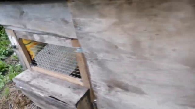 Вольер друга. Рассказал что к чему. смотреть онлайн