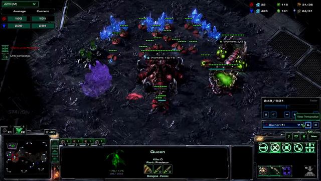 SC2 Build guide: Roach Ravager Ling all in смотреть онлайн