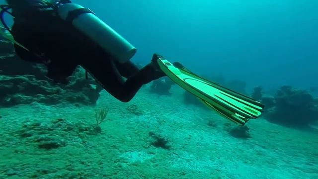 Cuba - Day 7 - Diving Maria la Gorda смотреть онлайн