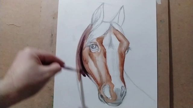 Малюнок голови коня. Рисование головы коня.
