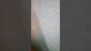 Рукожопый плиточник