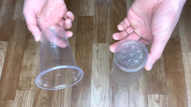 ЧЕРЕНКОВАНИЕ ТУИ ВЕСНОЙ В ДОМАШНИХ УСЛОВИЯХ. Сам себе садовод?? смотреть онлайн