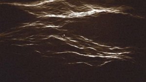 В поисках Немо - Вернись/ Back to me. Finding Nemo (2003).