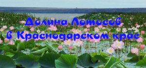 Долина Лотосов в Краснодарском крае