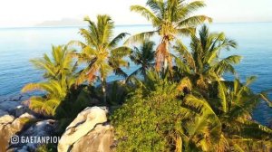 Avicii, Dua Lipa, Coldplay, Martin Garrix & Kygo, The Chainsmokers Style