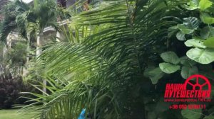 Savoy Seychelles Resorts & Spa 5, Beau Vallon, Mahe, Seychelles. Сейшелы, о. Маэ