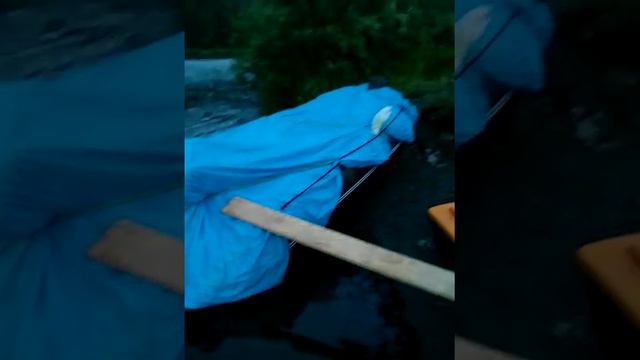 Сплав по Мане смотреть онлайн