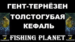 Толстогубая кефаль на канале Гент-тернезен в игре Fishing Planet