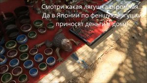 Жизнь в Гоа 142. Базар в Анджуне. Самый большой и дешевый туристический рынок в Гоа. За сувенирами