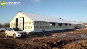 Строительство коровника привязного содержания на на 75 голов в Сарапульском районе, с. Выезд