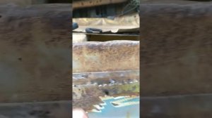 Сварис 160 комби варит кузовщину