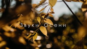 Челябинский парк. Золотая осень на Южном Урале. Звуки природы