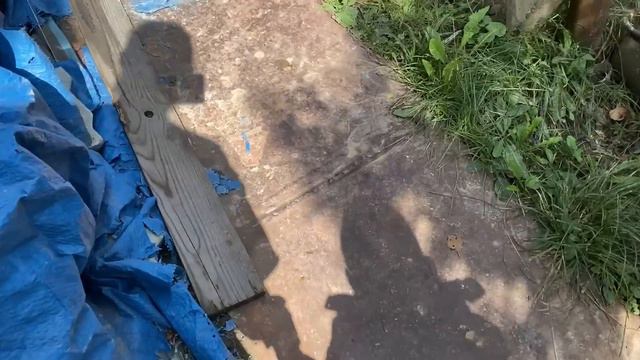 Дачный Влог Большая чистка - НАЧАЛО смотреть онлайн