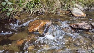 Медитация под звуки природы - Расслабляющий Звук Воды.